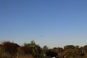 2025-06-21 Bartons Park - IMG_2530_compressed_q50.webp